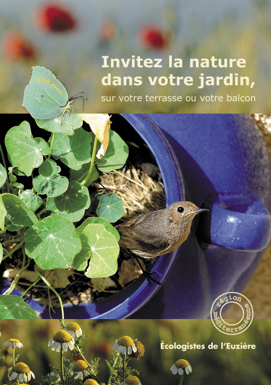 Invitez la nature dans votre jardin, sur votre terrasse ou votre balcon