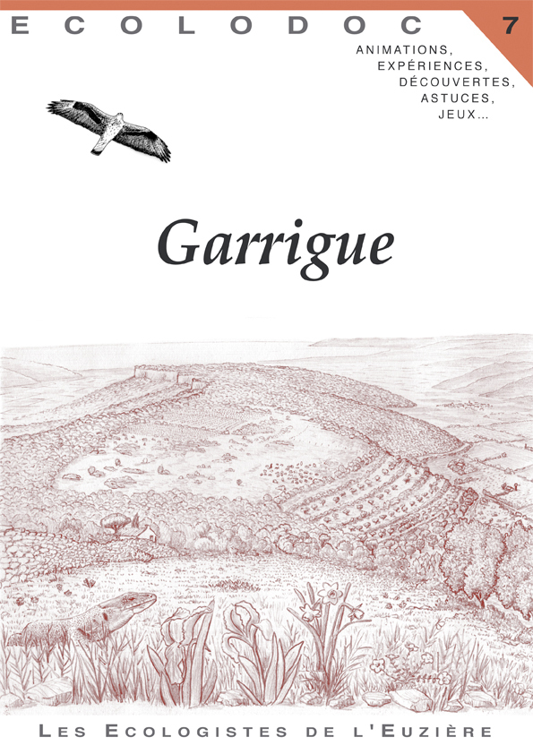 Garrigue (une histoire qui ne manque pas de piquant)