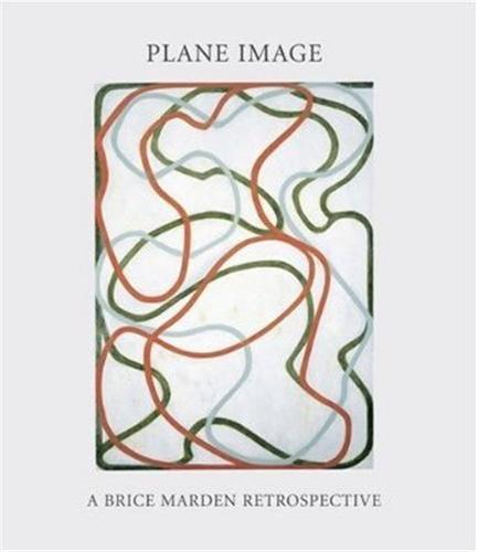 Plane Image A Brice Marden Retrospective /anglais