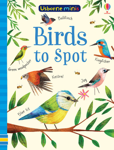 Birds to Spot - Mini book