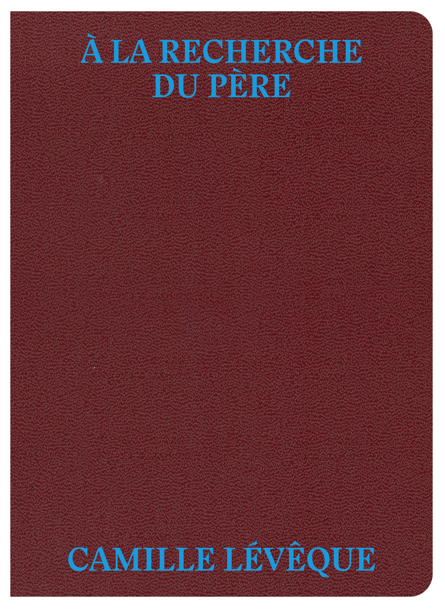 A la recherche du père