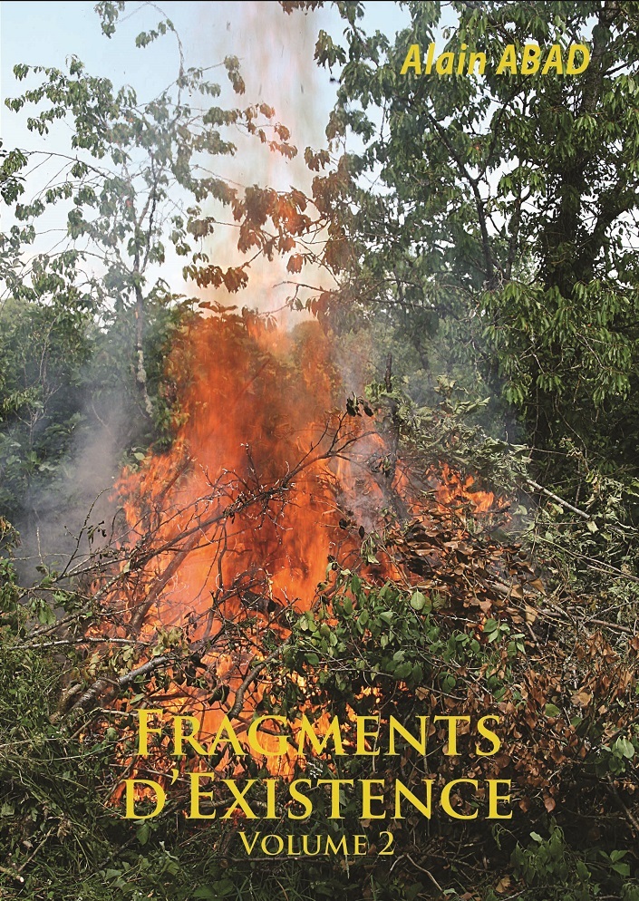 Fragments d'existence Volume 2