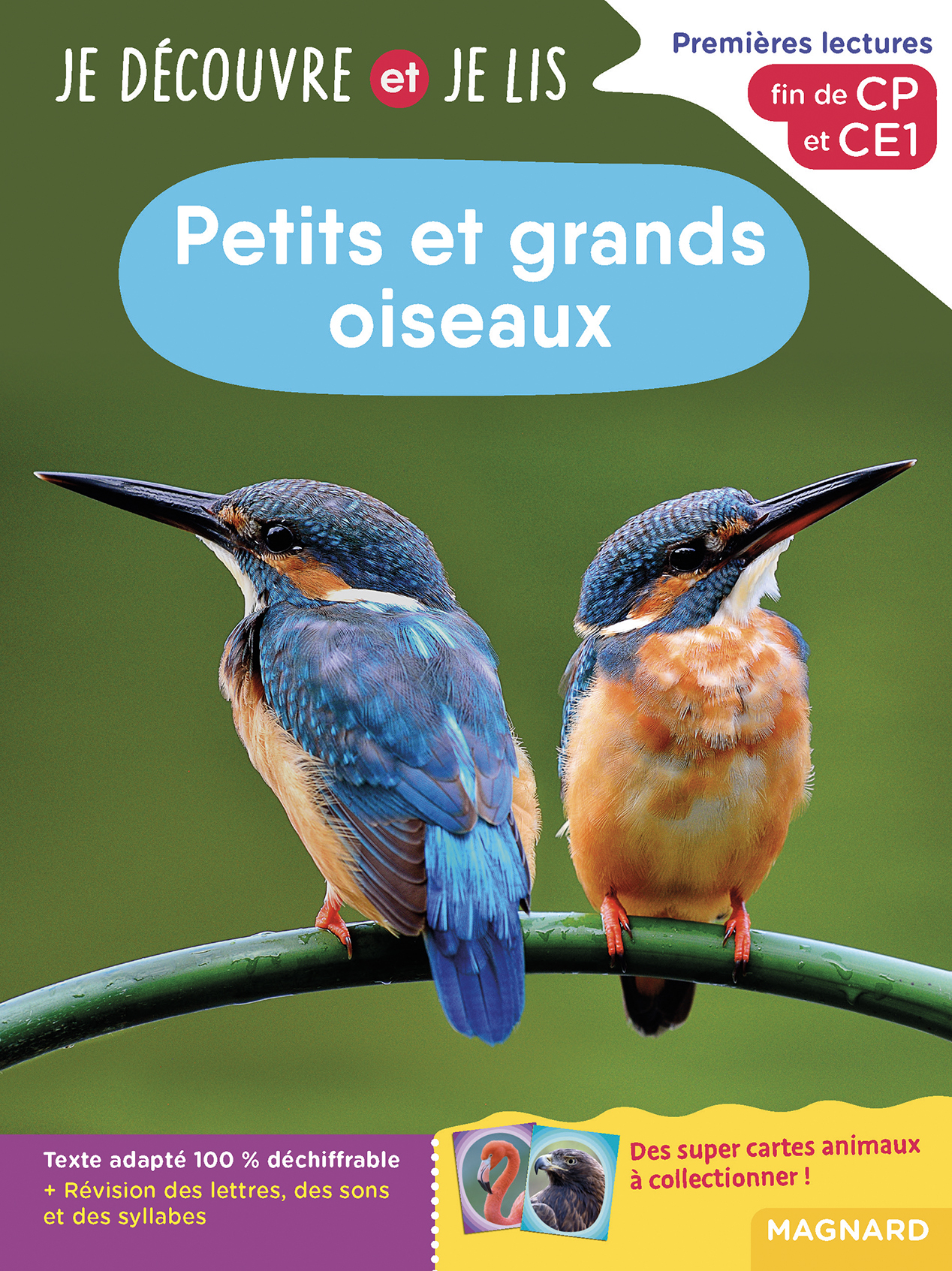 Je découvre et je lis CP et CE1 - Petits et grands oiseaux