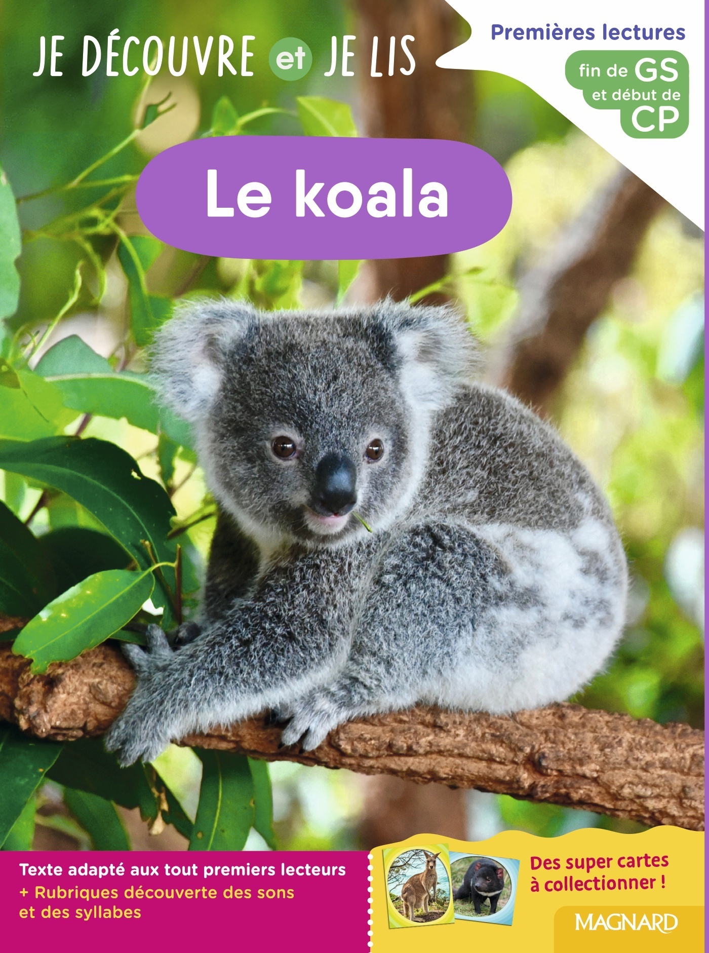 Je découvre et je lis GS et CP - Le koala