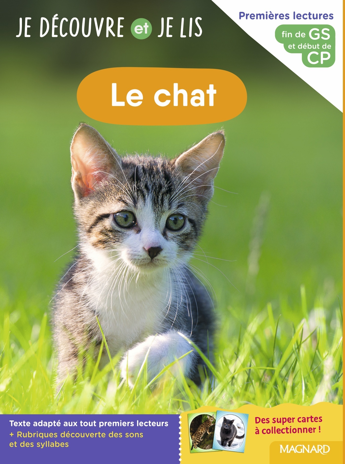 Je découvre et je lis GS et CP - Le chat