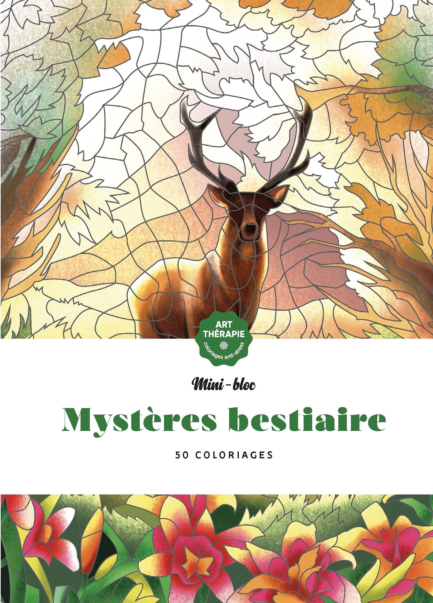 Mini-blocs d'Art-thérapie Mystères Bestiaire