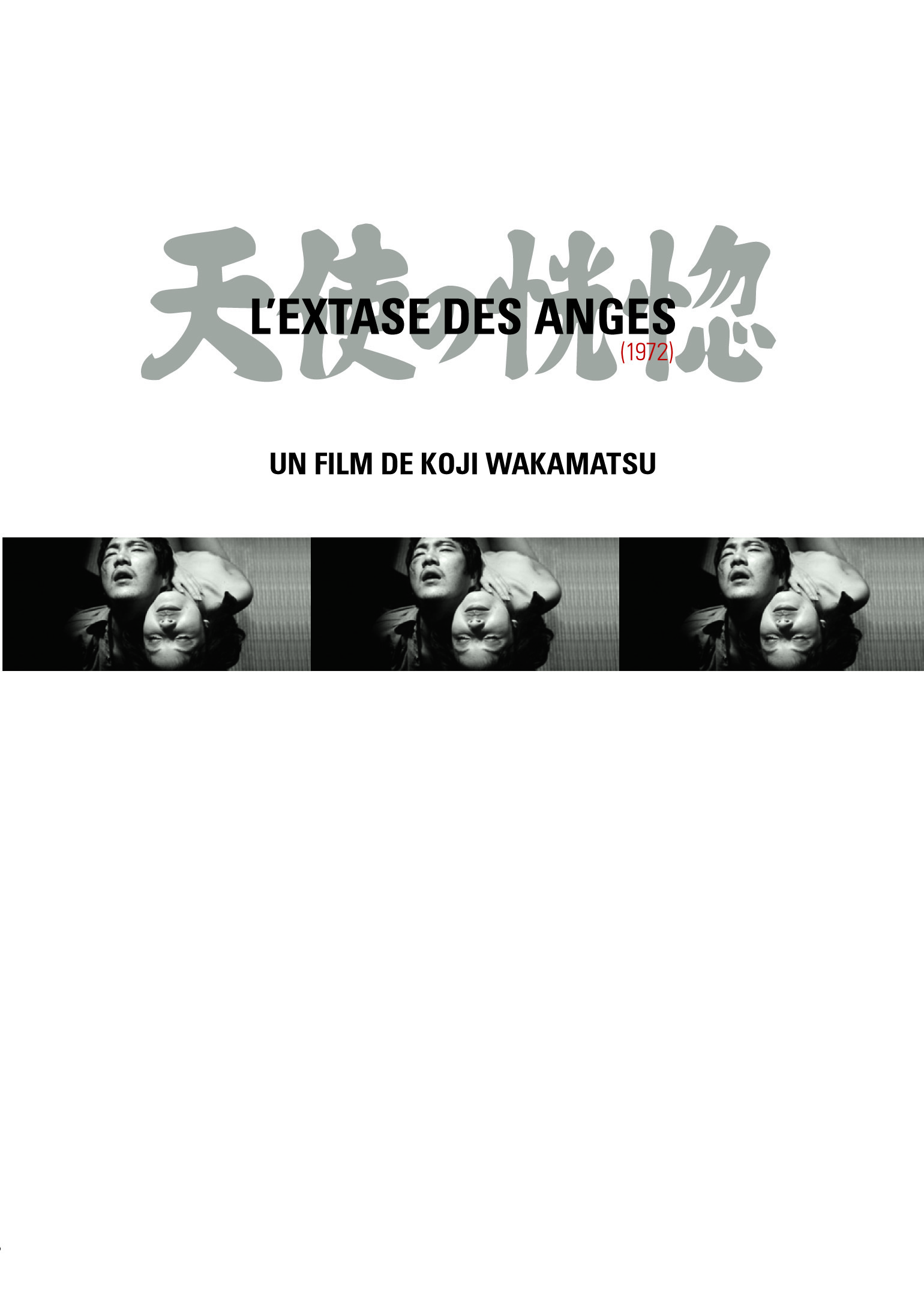 L'EXTASE DES ANGES - DVD