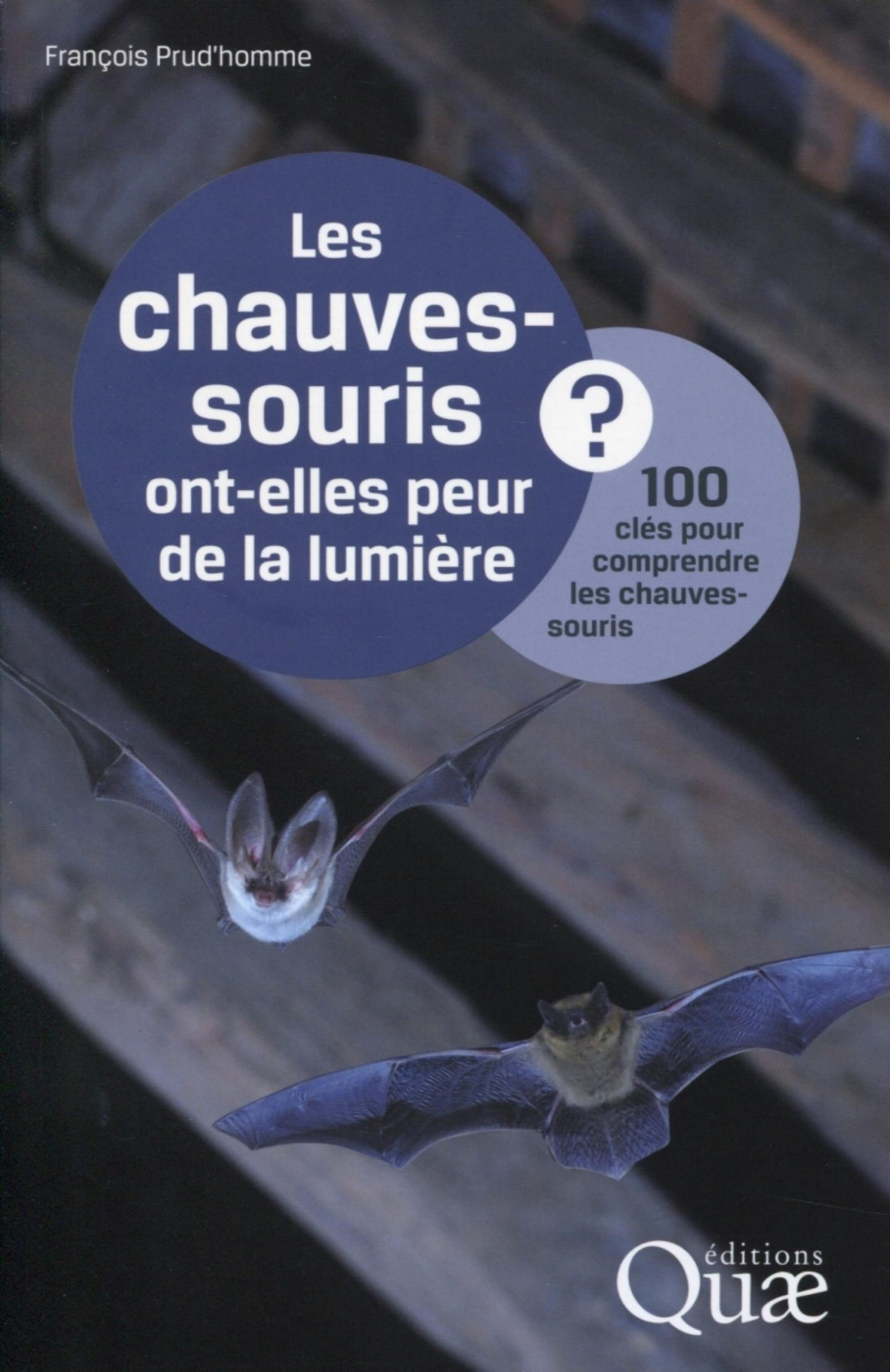LES CHAUVES-SOURIS ONT-ELLES PEUR DE LA LUMIERE ? 100 CLES POUR COMPRENDRE LES CHAUVE