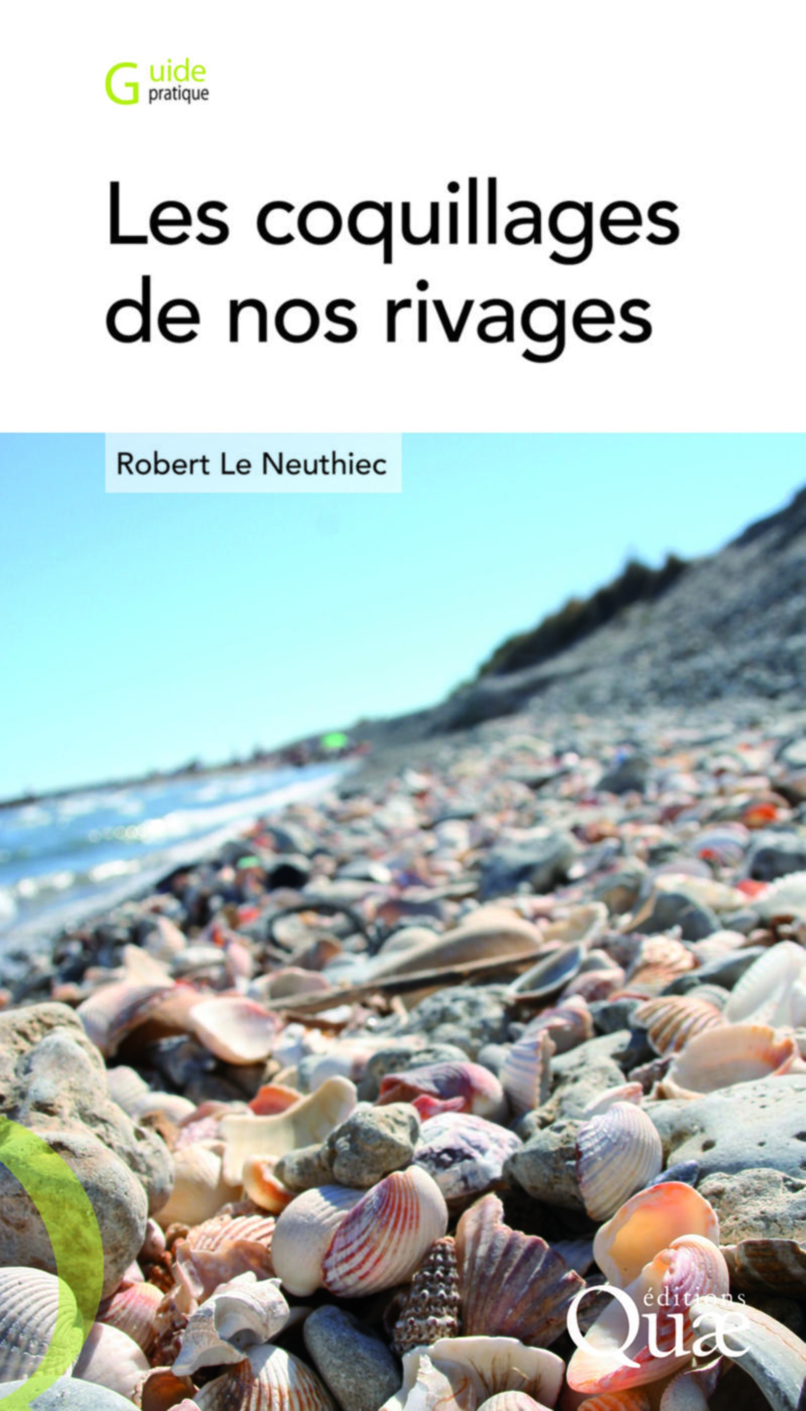 Les coquillages de nos rivages