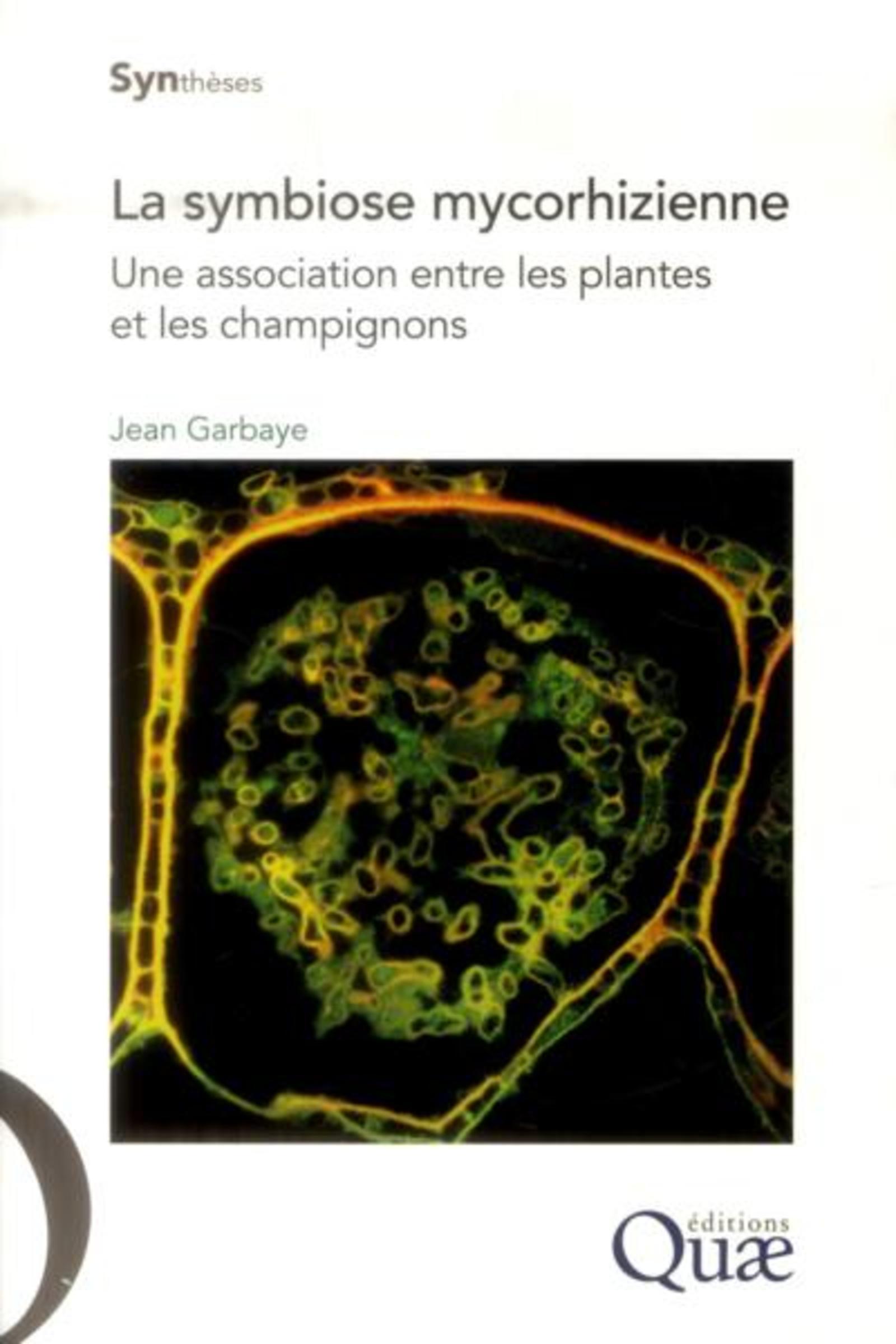 La symbiose mycorhizienne