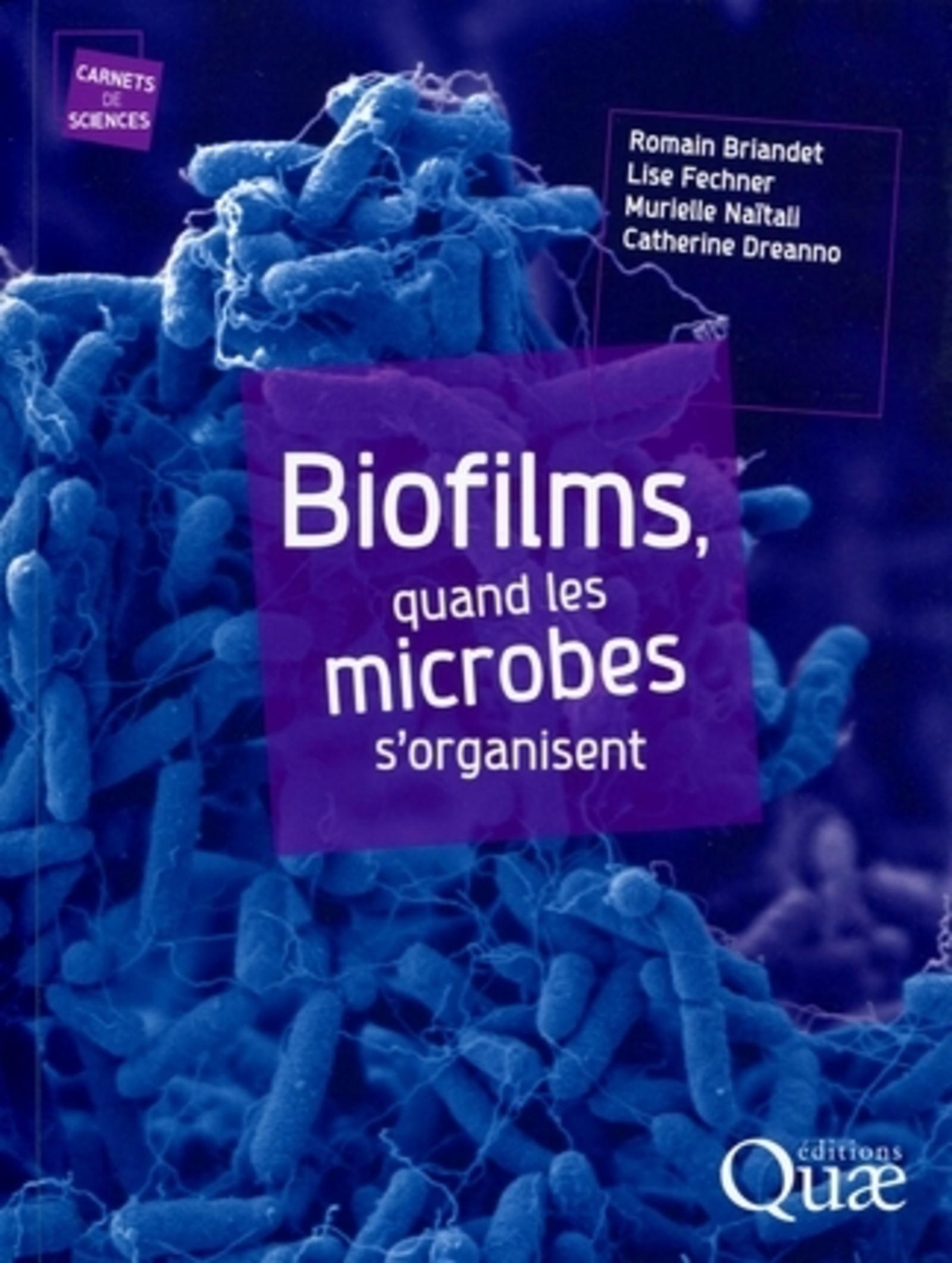 BIOFILMS, QUAND LES MICROBES S'ORGANISENT