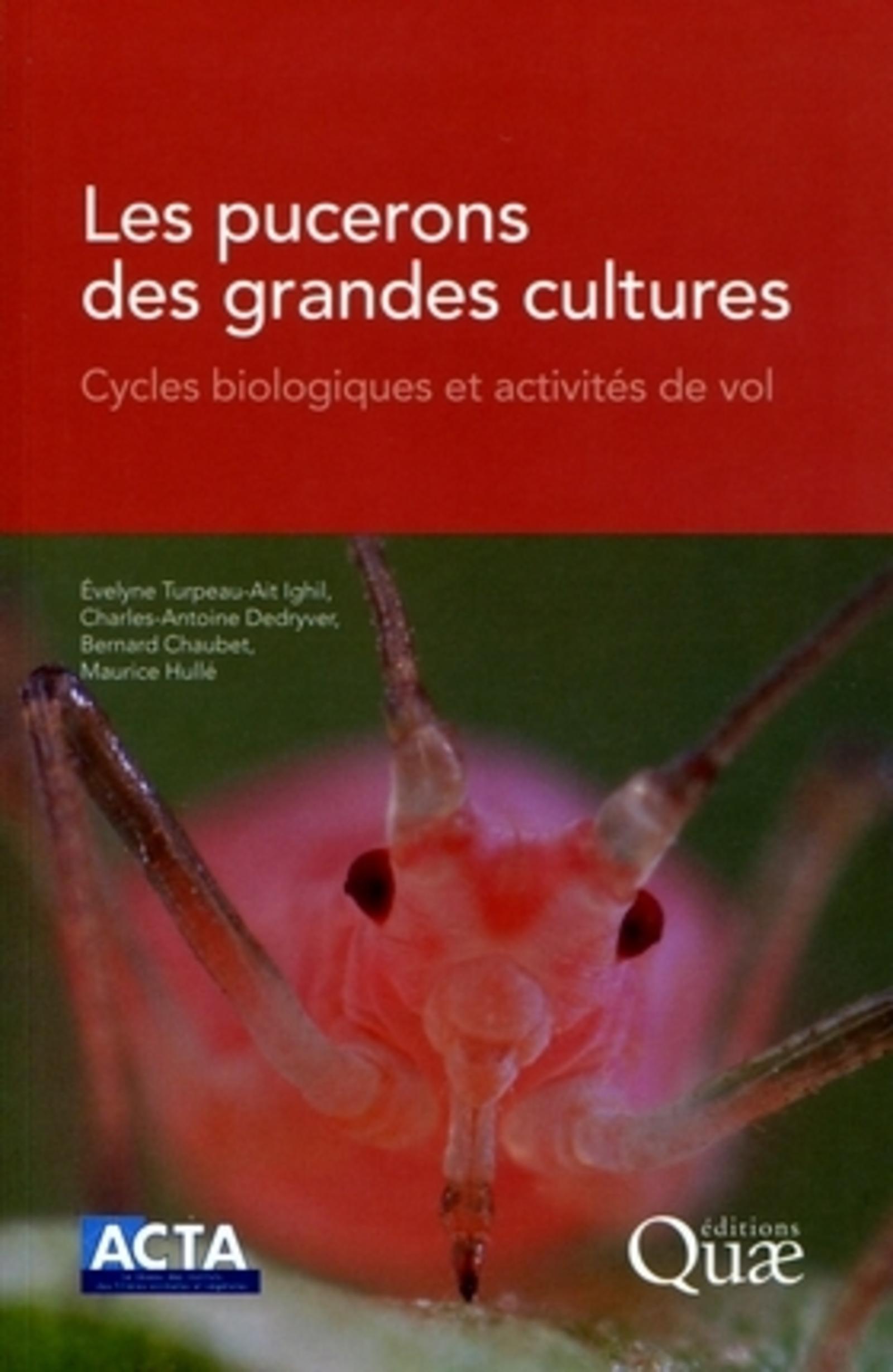 Les pucerons des grandes cultures