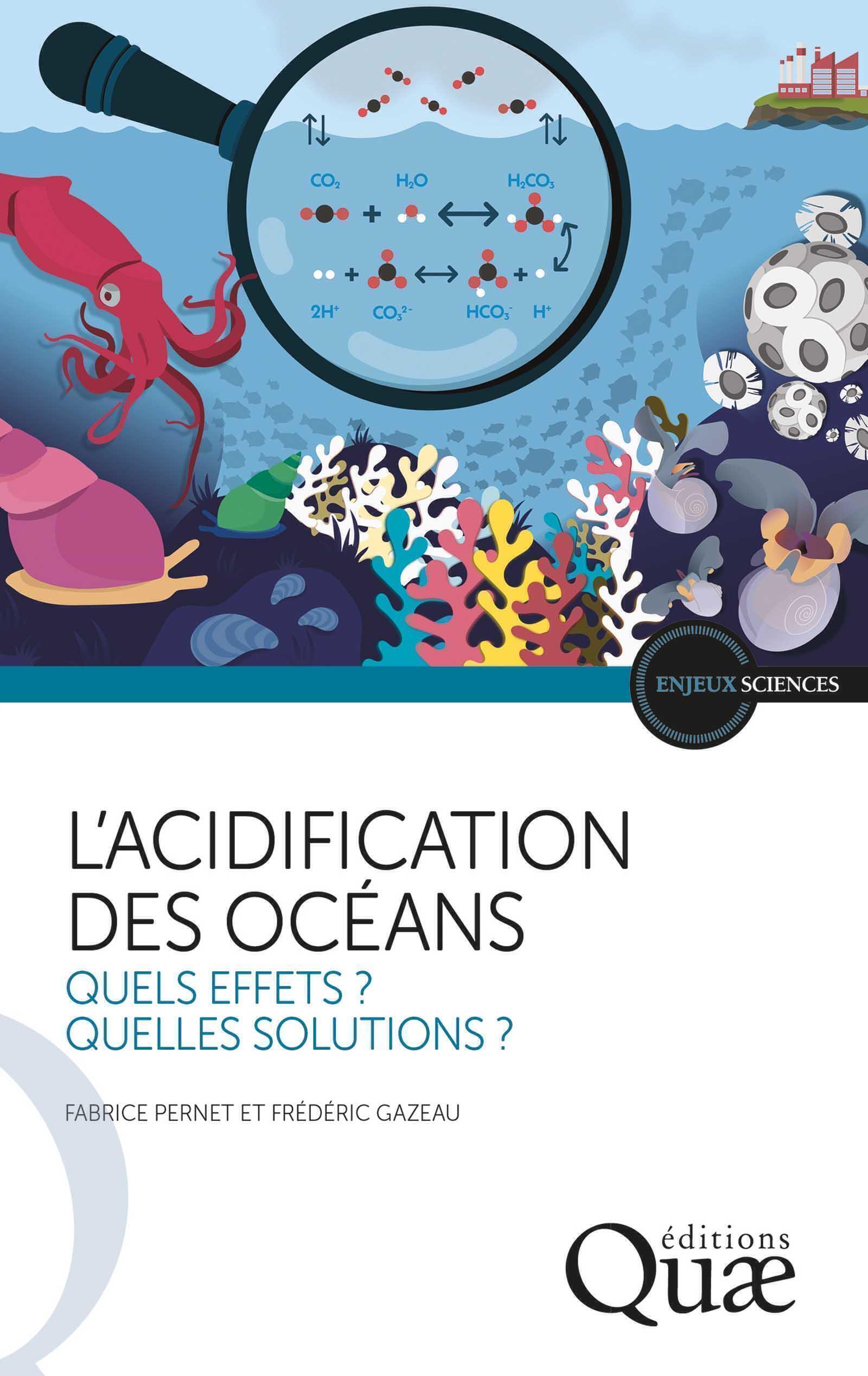 L'acidification des océans