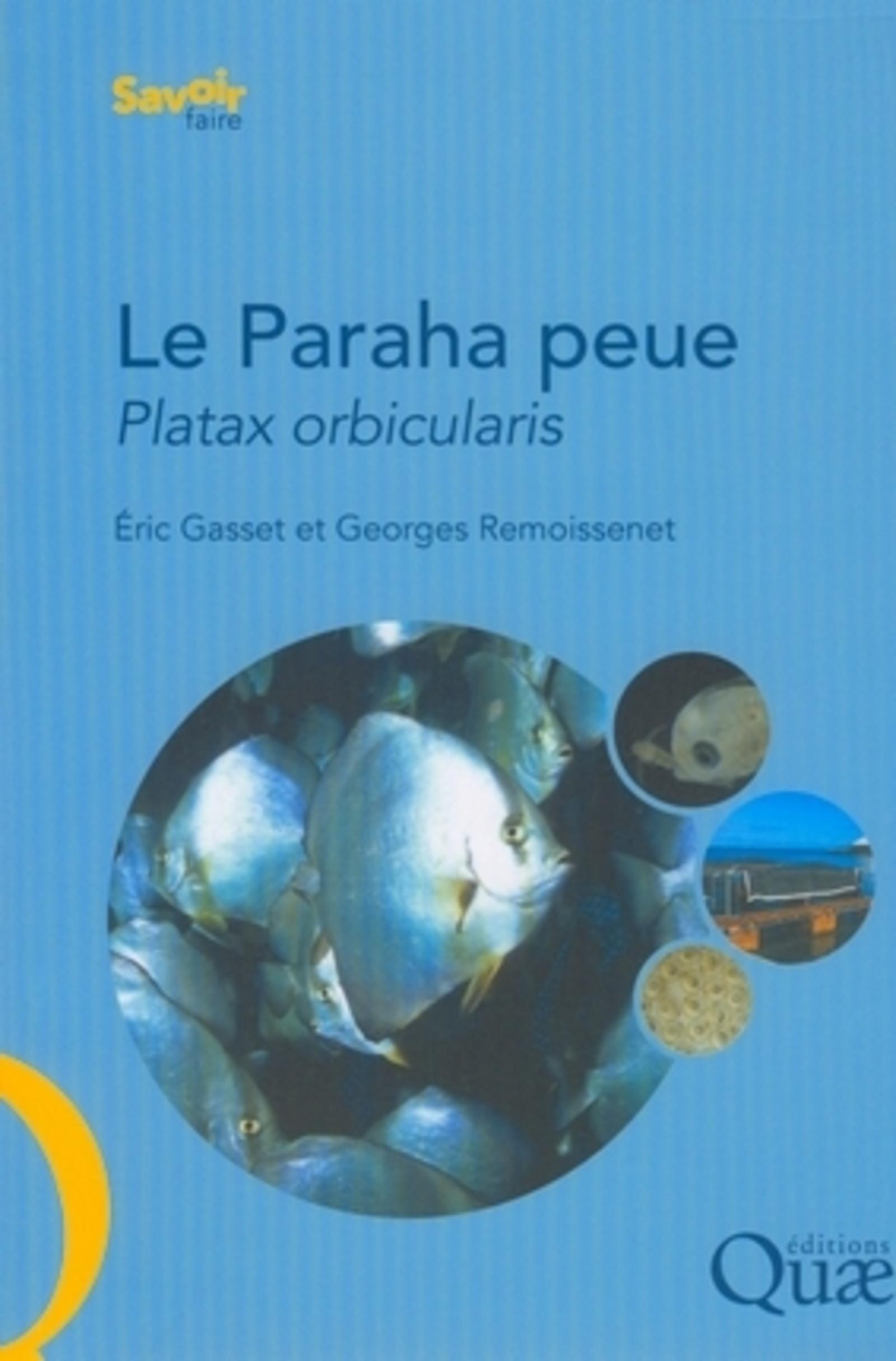 Le Paraha peue. Platax orbicularis