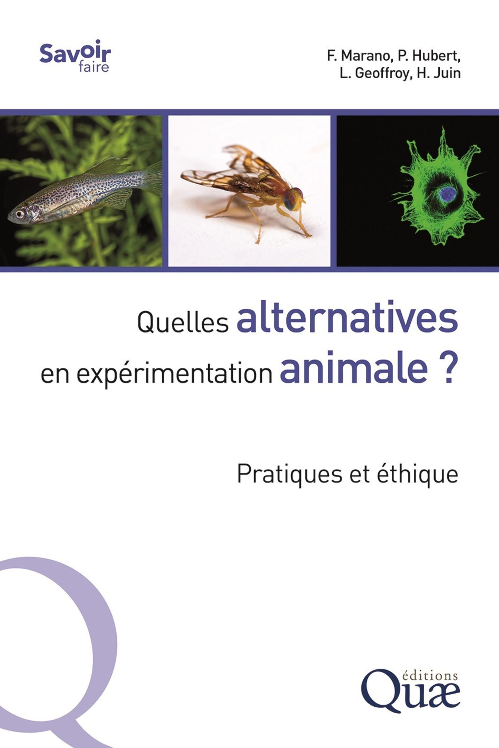 Quelles alternatives en expérimentation animale ?