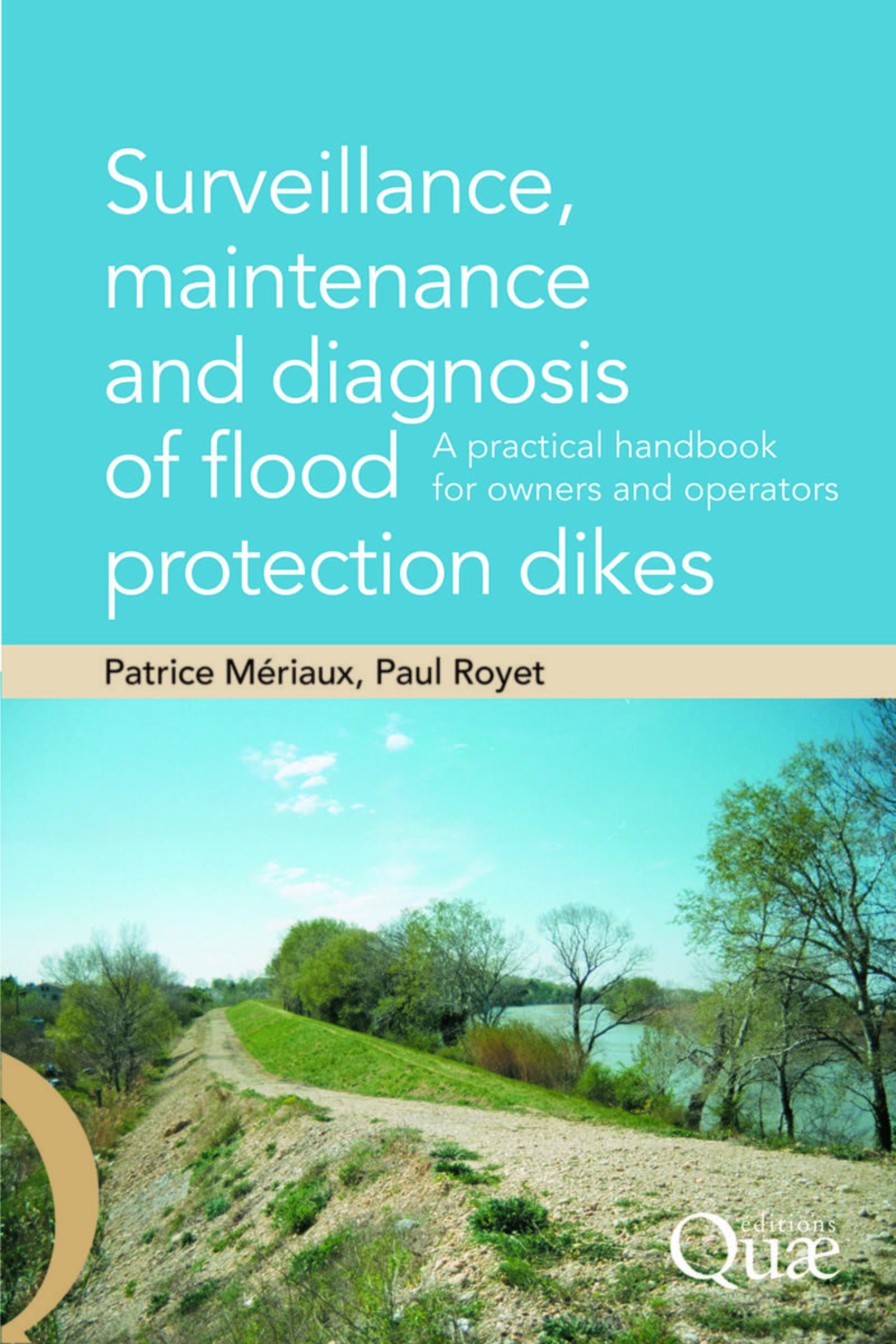Surveillance, maintenance and diagnosis of flood protection dikes