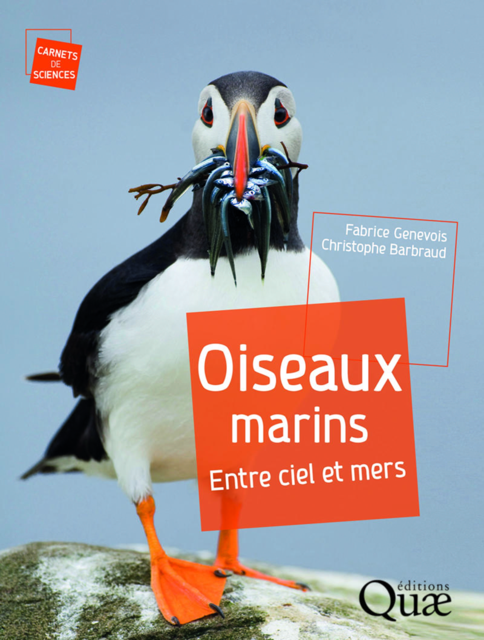 Oiseaux marins