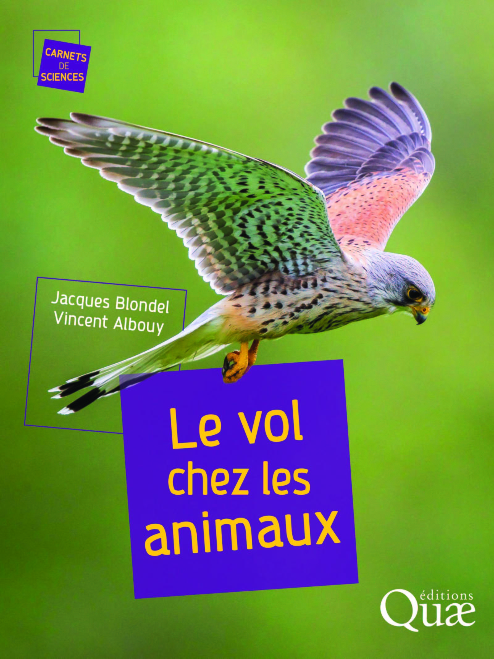 Le vol chez les animaux
