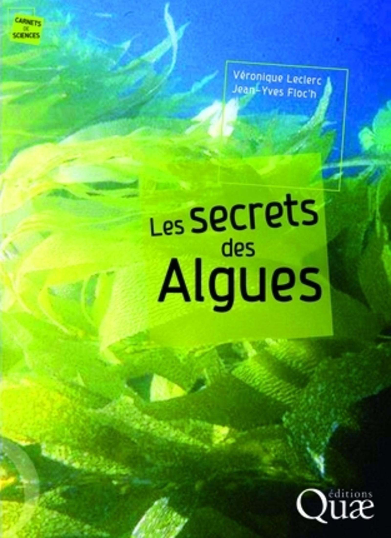 LES SECRETS DES ALGUES