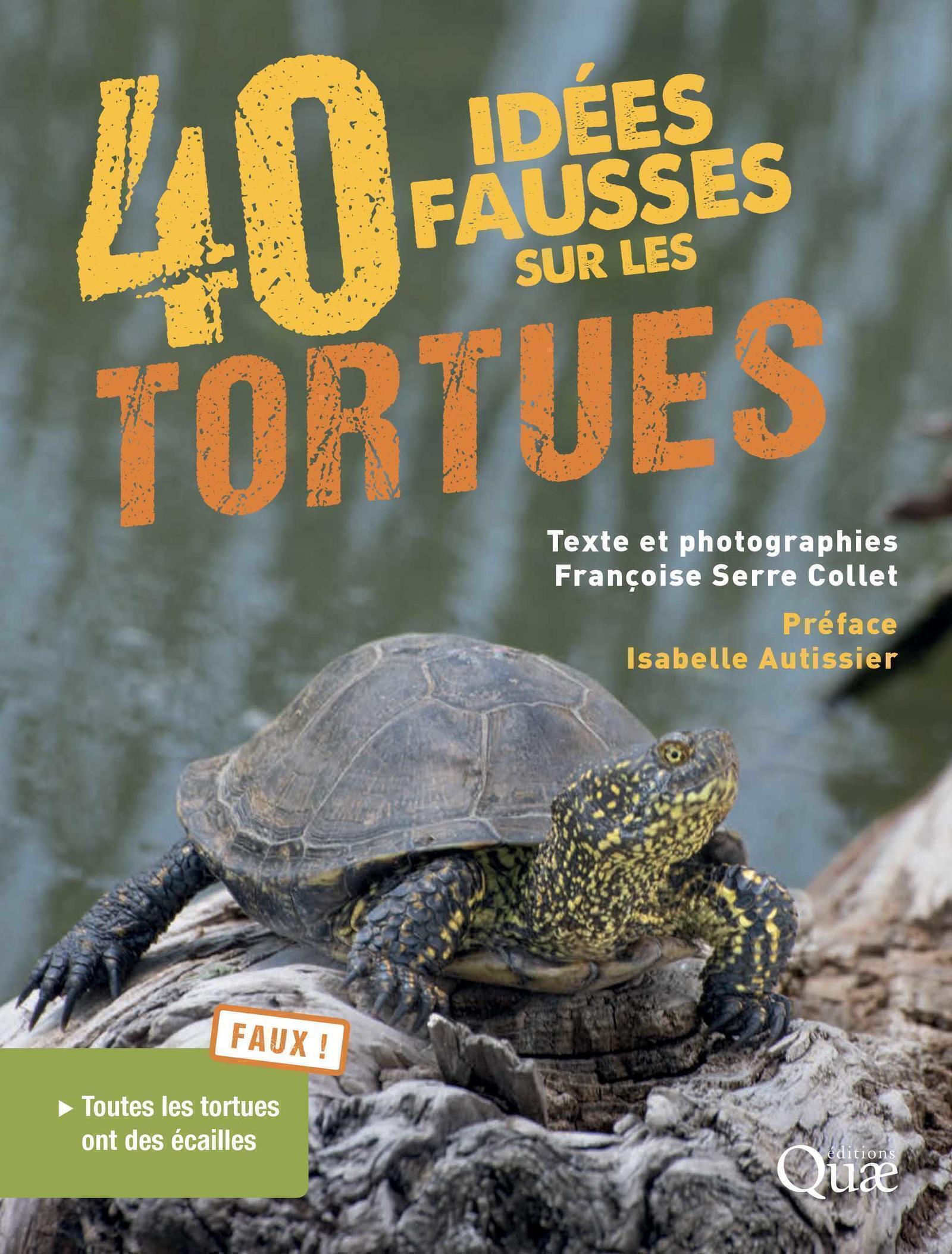 40 idées fausses sur les tortues