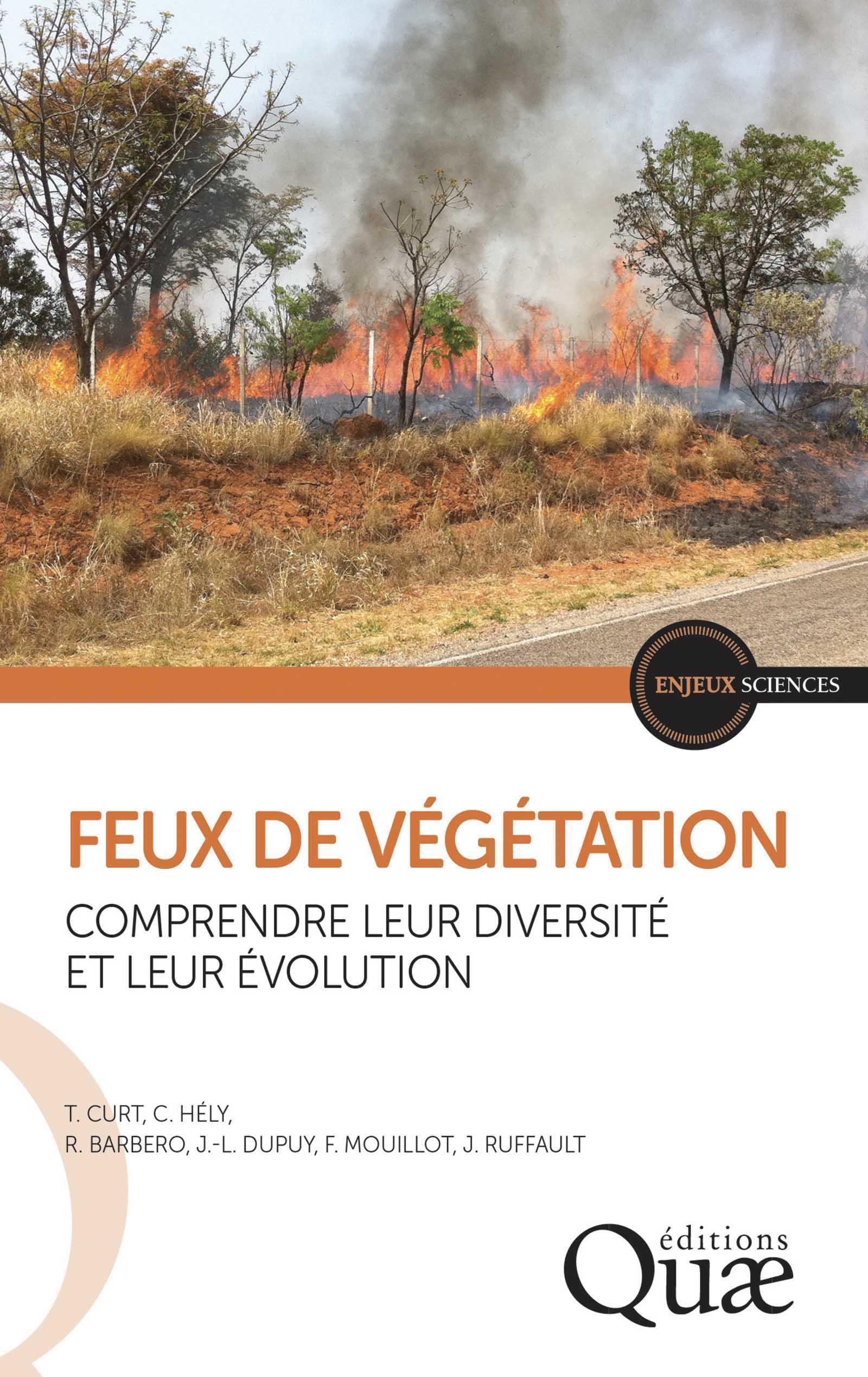 Feux de végétation
