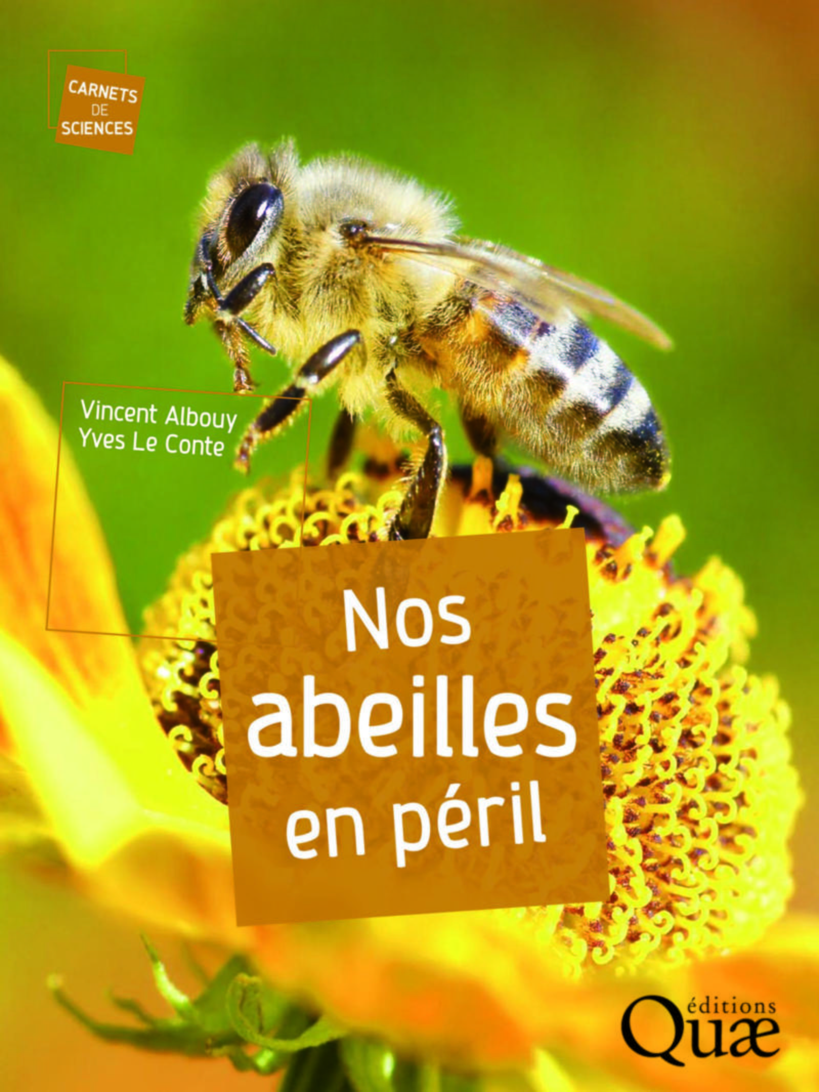 NOS ABEILLES EN PERIL