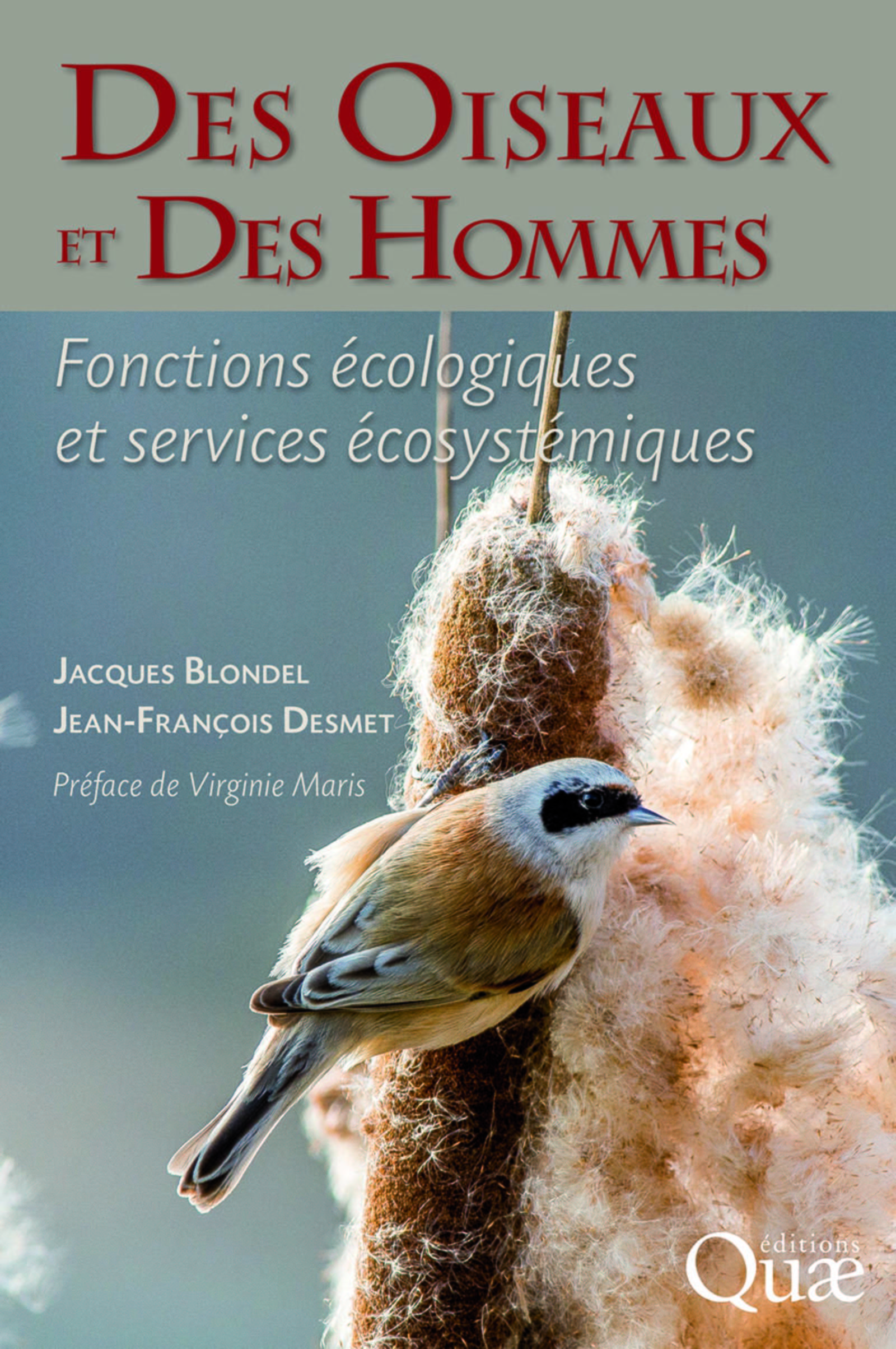 Des oiseaux et des hommes