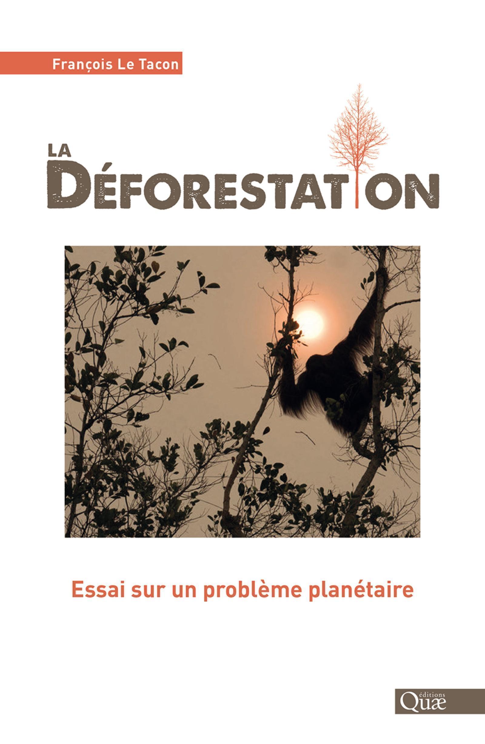 La déforestation