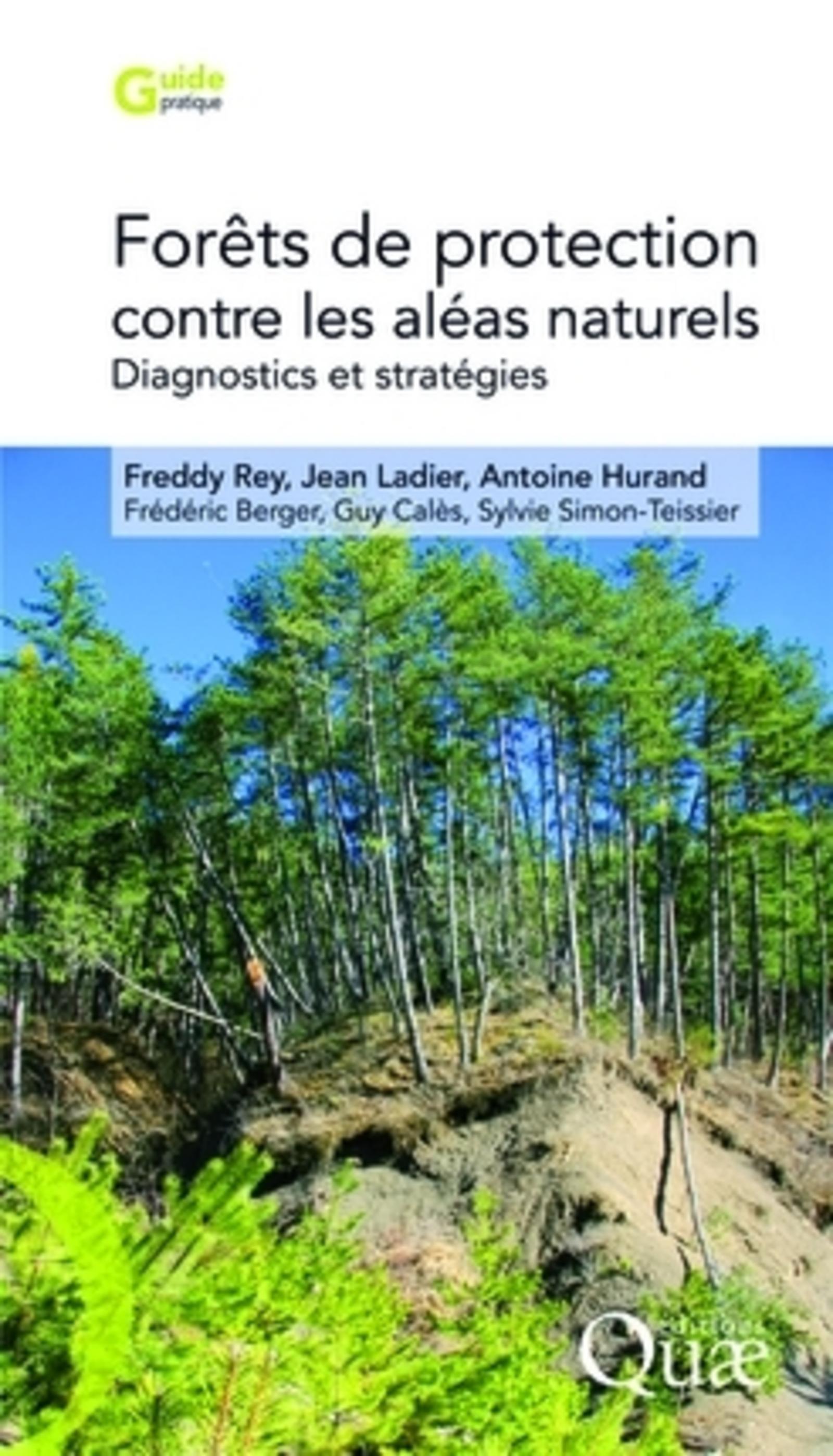 Forêts de protection contre les aléas naturels