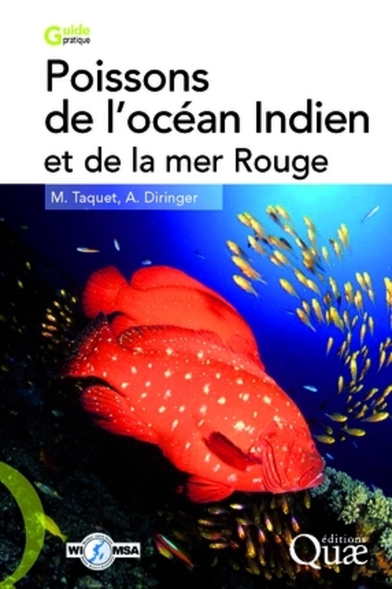 POISSONS DE L'OCEAN INDIEN ET DE LA MER ROUGE