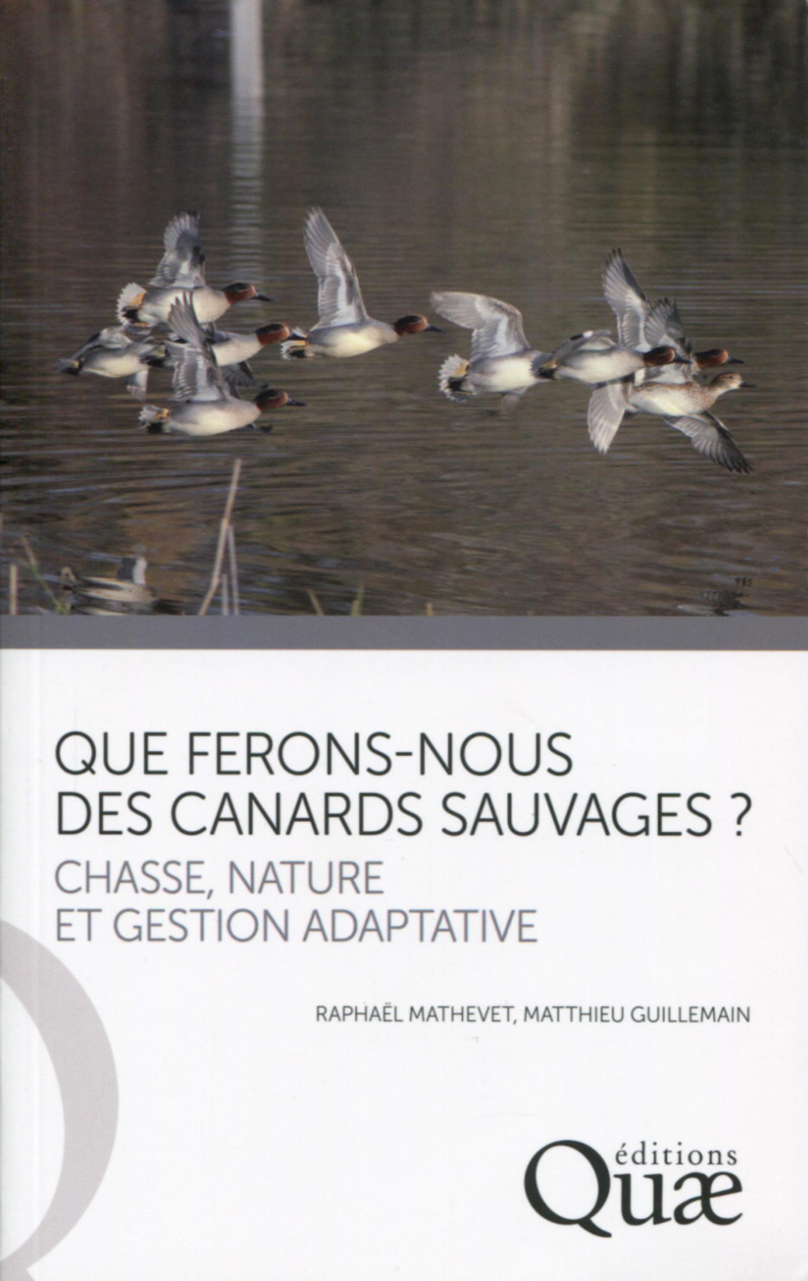 Que ferons-nous des canards sauvages ?