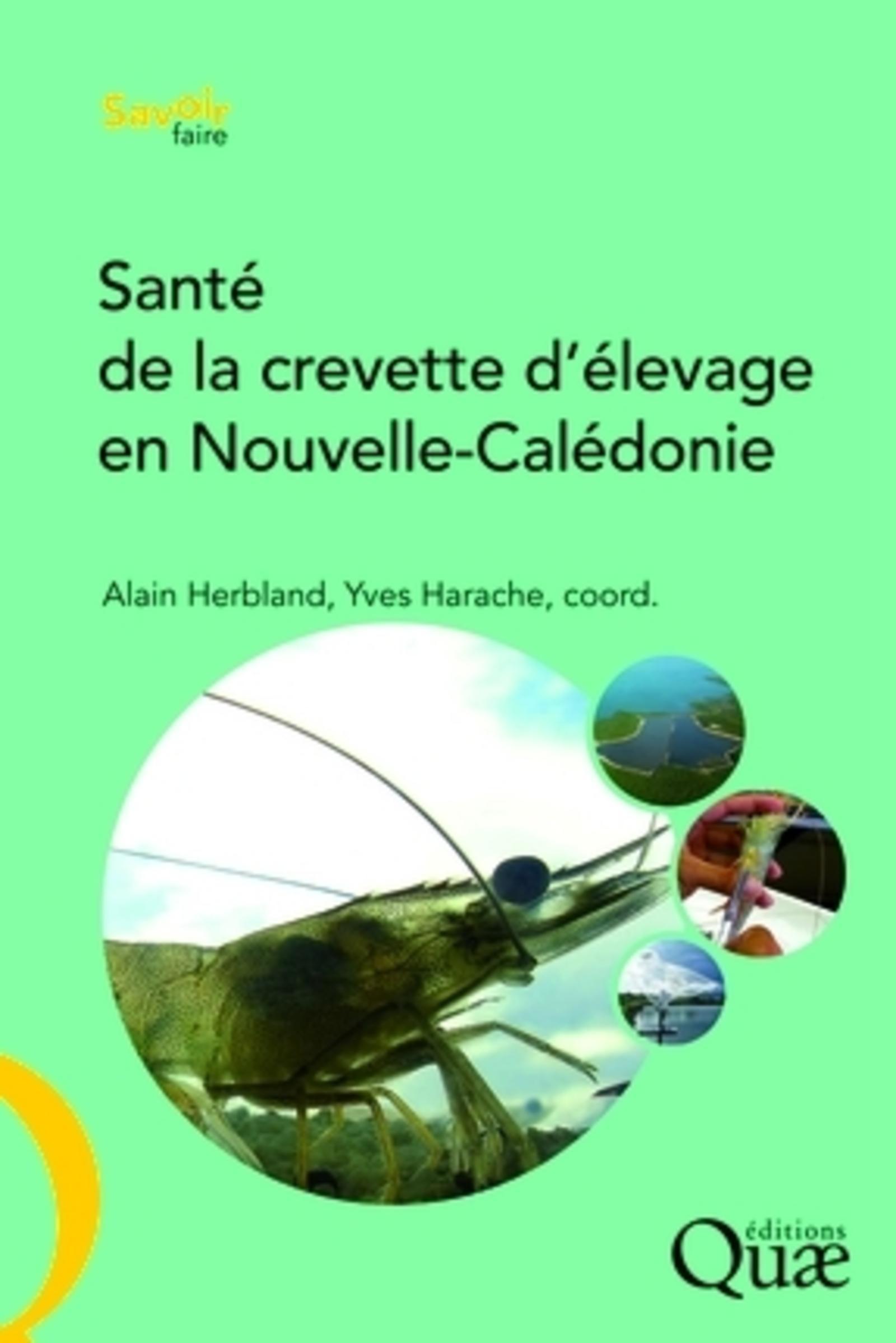Santé de la crevette d'élevage en Nouvelle-Calédonie