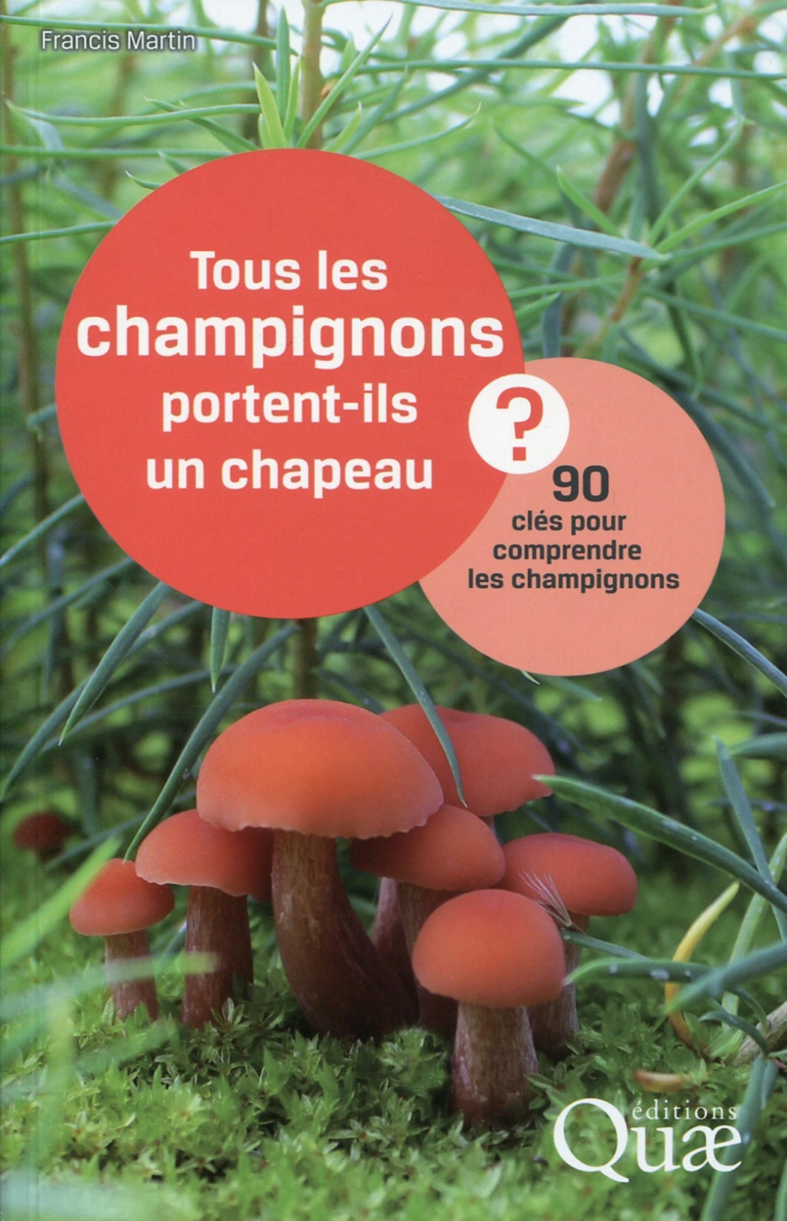 Tous les champignons portent-ils un chapeau ?