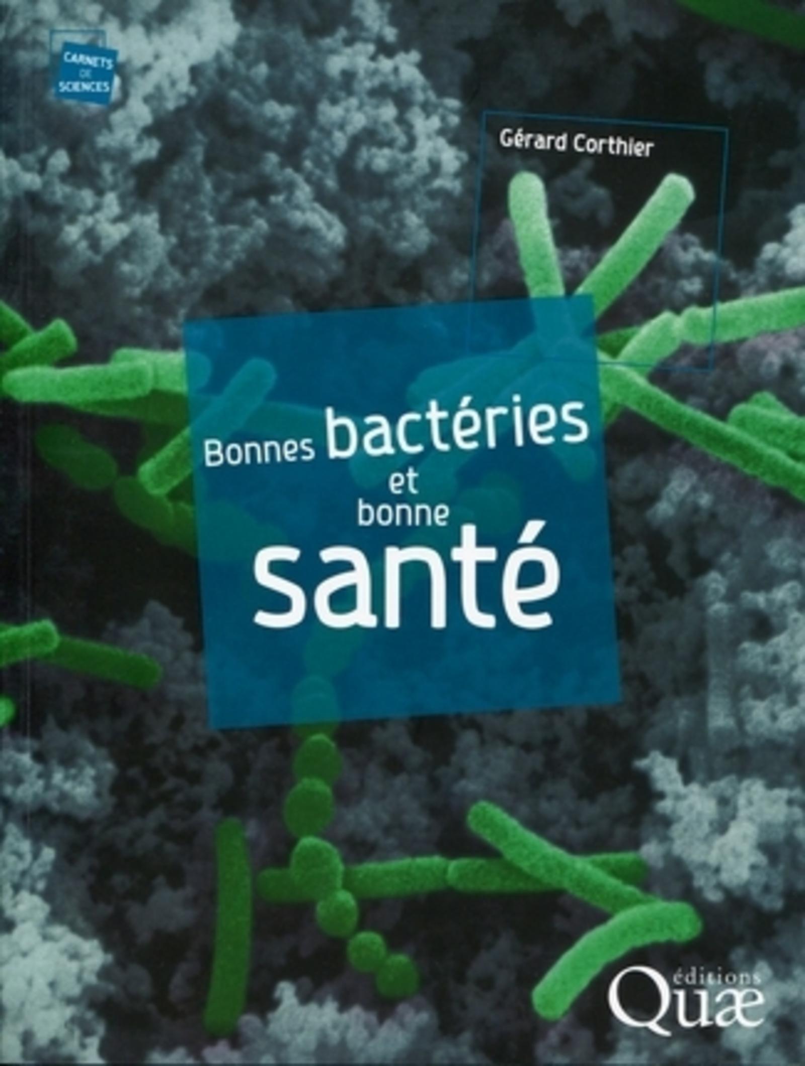 Bonnes bactéries et bonne santé