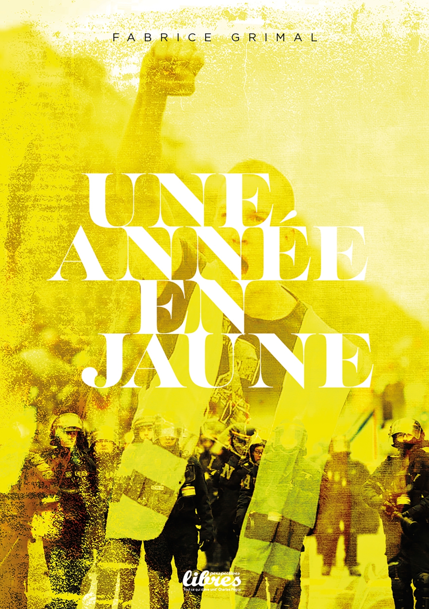 Une année en jaune