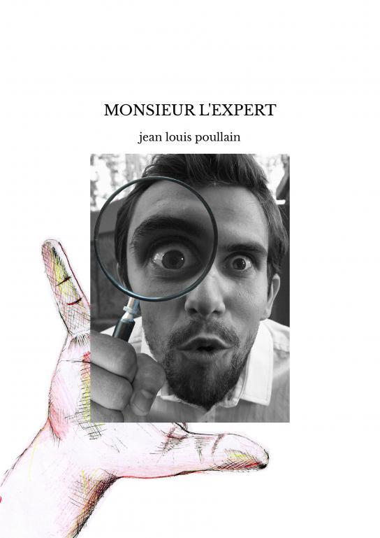 MONSIEUR L'EXPERT