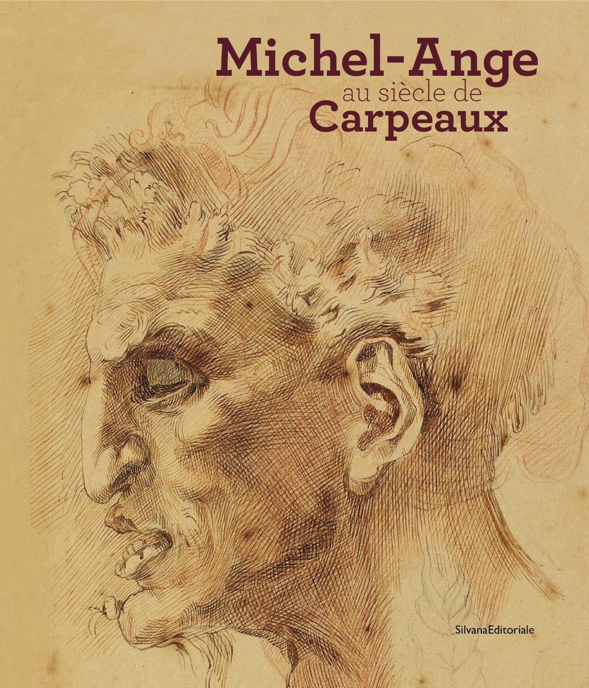 Michel-Ange au siècle de Carpeaux - [exposition, Valenciennes, Musée des beaux-arts de Valenciennes, 16 mars-1er juillet 2012]
