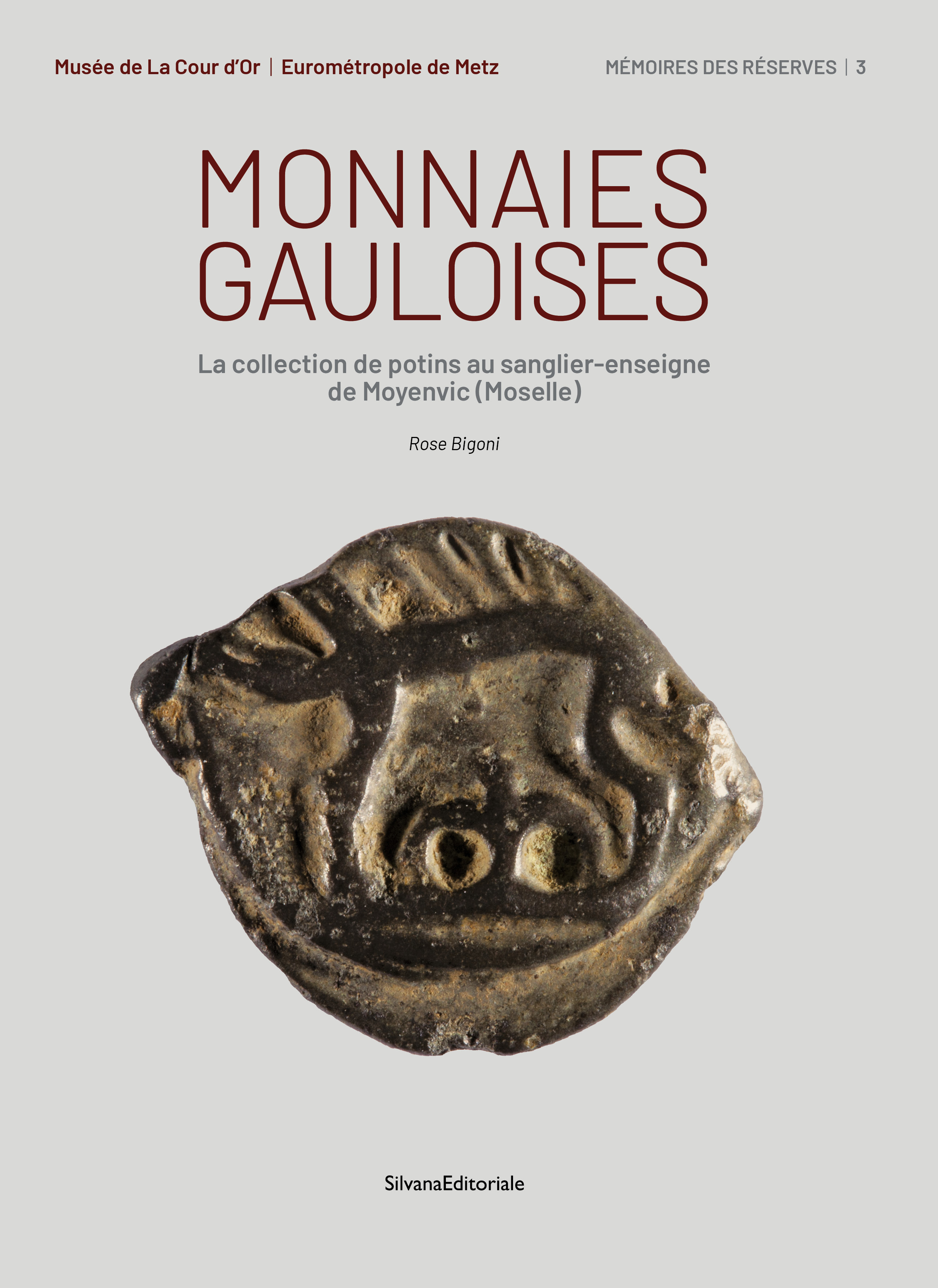 Monnaies gauloises - la collection de potins au sanglier-enseigne de Moyenvic (Moselle)