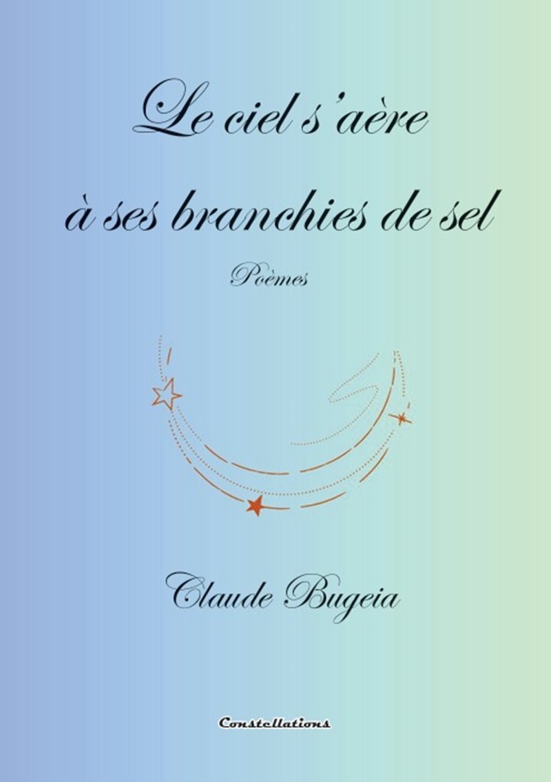 Le ciel s'aère à ses branchies de sel