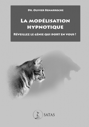 La modélisation hypnotique - Réveillez le génie qui dort en vous !