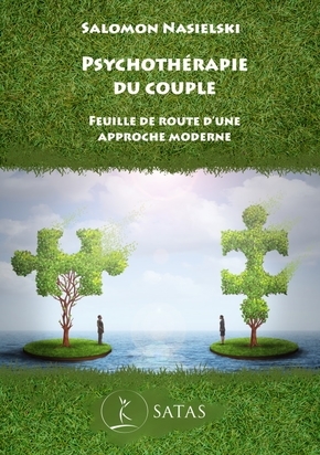 Psychothérapie du couple - Feuille de route d'une approche moderne