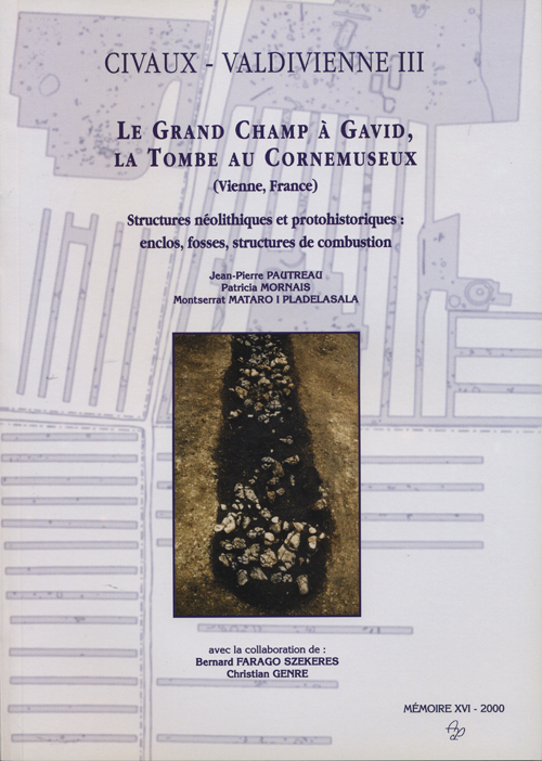 Civaux - Valdivienne III