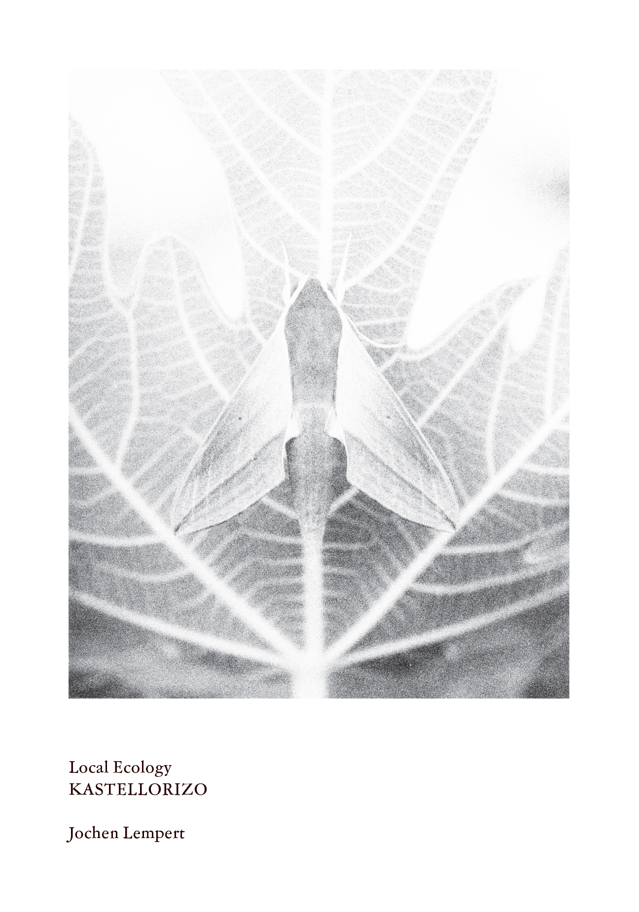 Local Ecology – Kastellorizo