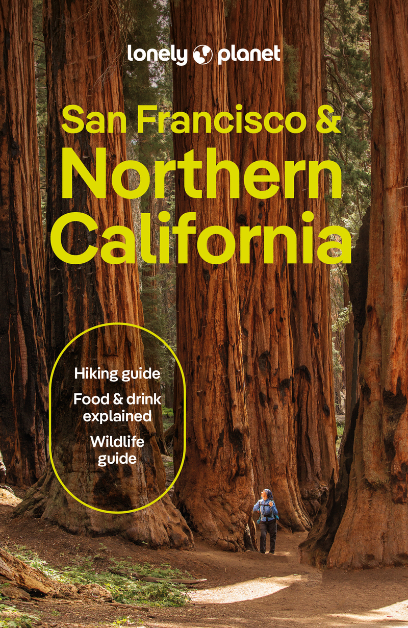 San Francisco & Northern California 4ed -anglais-