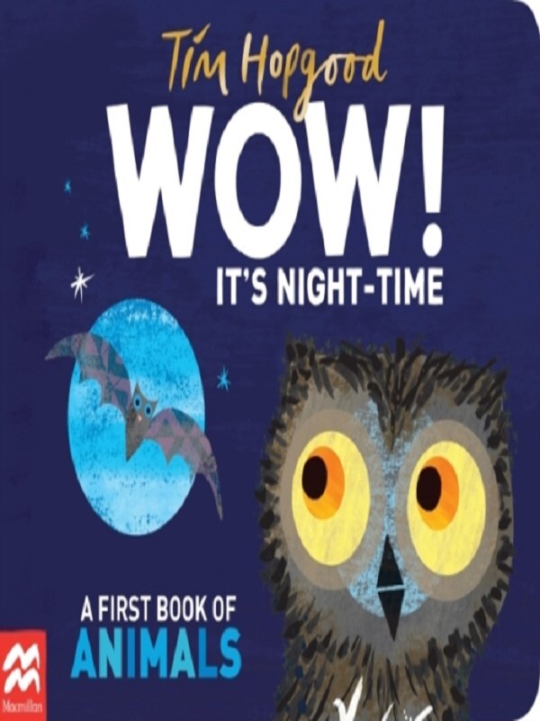 WOW! It's Night-time