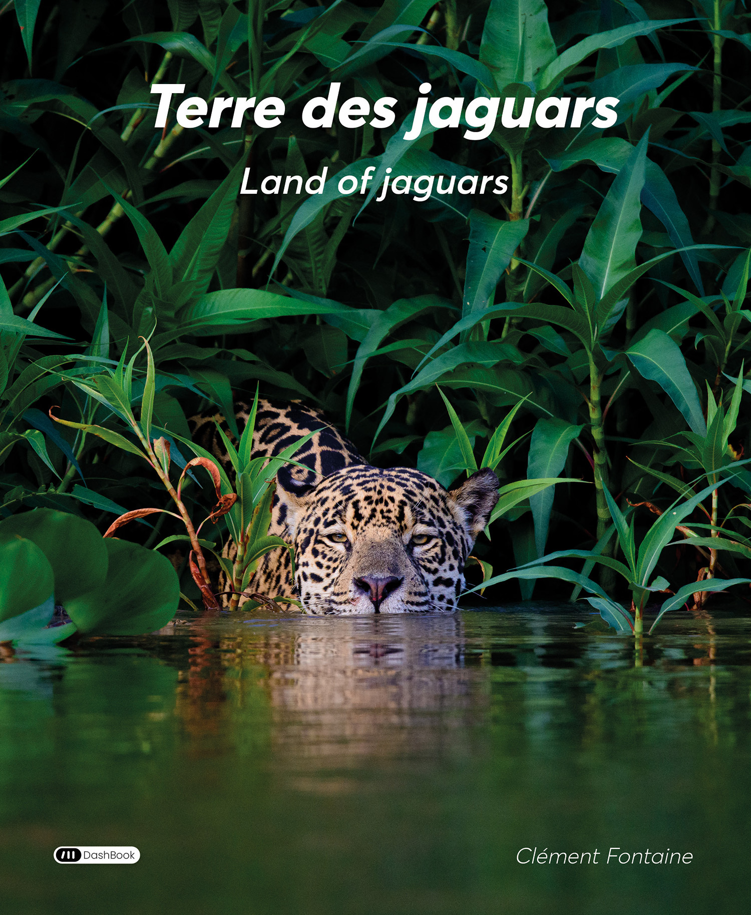 Terre des Jaguars