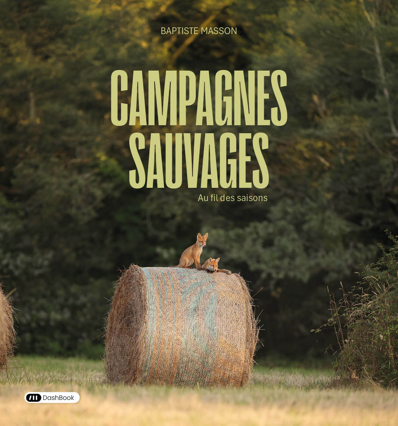 Campagnes sauvages
