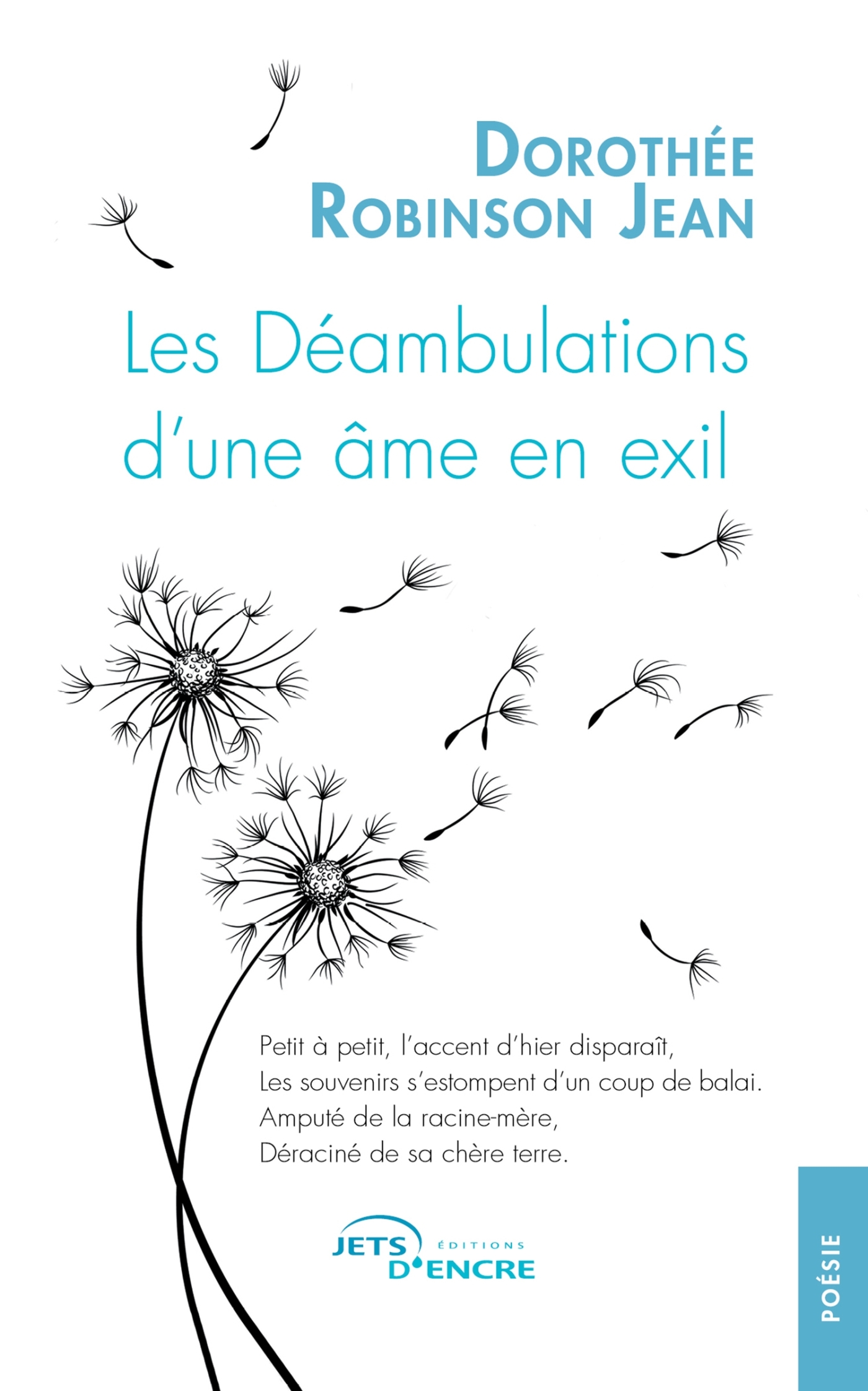 Les Déambulations d'une âme en exil