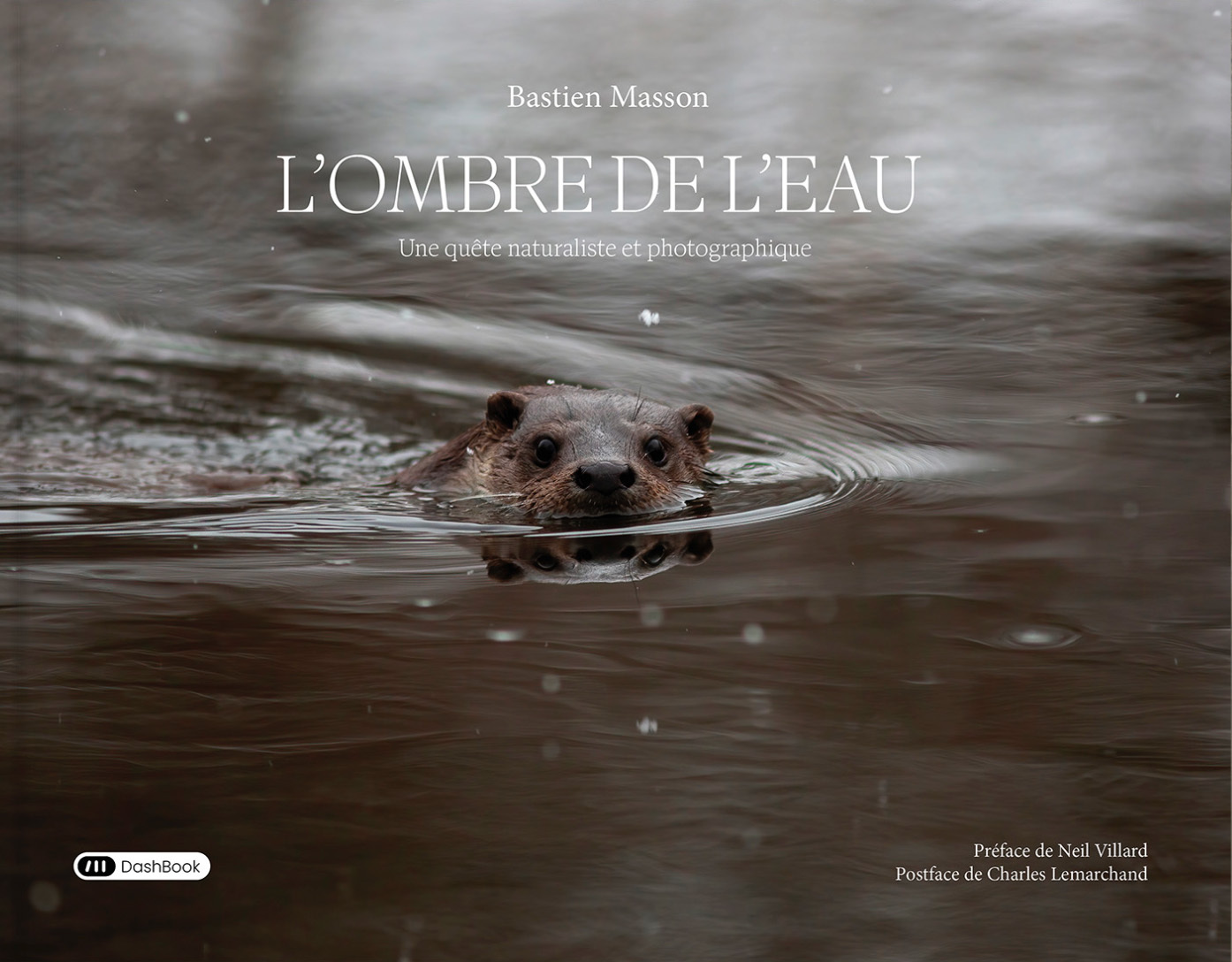 L'ombre de l'eau