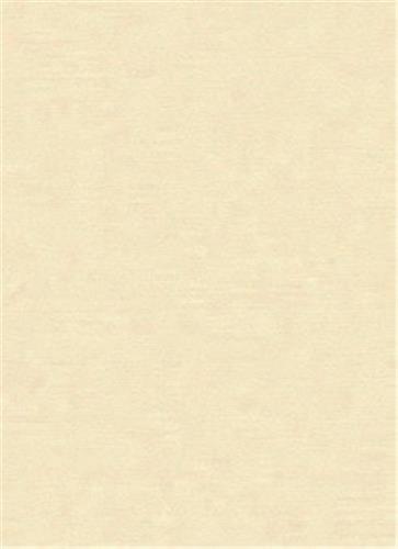 Isabelle Giovacchini Nemi /franCais/anglais